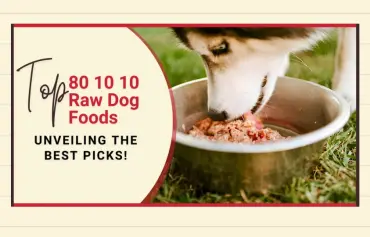 6 Best 80 10 10 Raw Dog Food UK Reviewed And Ranked (2024)